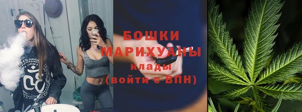 первитин Богданович