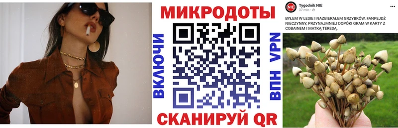 где купить наркоту  Смоленск  Галлюциногенные грибы ЛСД 